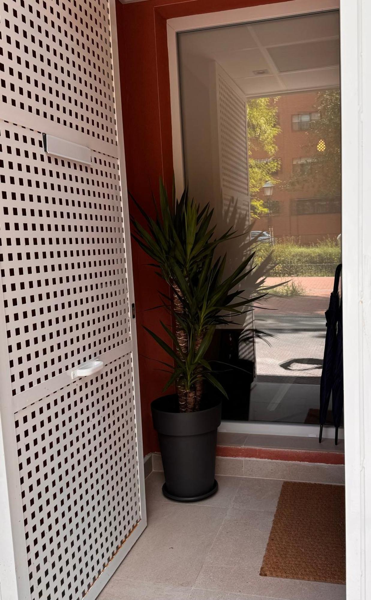 Laan Los Pinos Alcalá de Henares Buitenkant foto